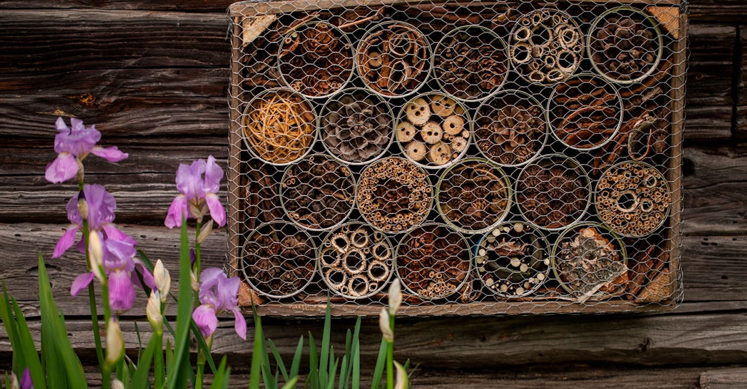 Eksempel på insekthotel Hjemmelavet Insekthotel